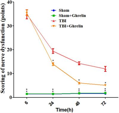 Ghrelin Ameliorates Traumatic Brain Injury by Down-Regulating bFGF and FGF-BP